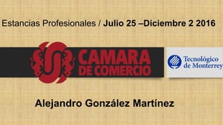 Estancias Profesionales / Julio 25 –Diciembre 2 2016
Alejandro González Martínez
 