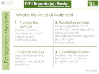 2. Ecosystem services

What is the value of wetlands?
1. Provisioning
services

2. Regulating services

genetic resources,
biochemical, natural
medicines and
pharmaceuticals

erosion regulation, water
purification, waste regulation,
climate regulation
and natural hazard regulation
(e.g. droughts,
floods, storms).

3. Cultural services

4. Supporting services

cognitive development,
reflection,
recreation, and aesthetic
experiences

those that are necessary for
the production of all other
ecosystem services

MA (2005)

 