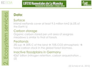2. Ecosystem services

Data:
Surface

Inland wetlands cover at least 9.5 million km2 (6.5% of
the Earth’s)

Carbon storage

Organic carbon stored per unit area of seagrass
meadows is similar to that of forests

Peatlands

3% sup  30% C of the land  75% CO2 atmospheric 
twice carbon stock in the global forest biomass.

Inactive floodplains in Germany

€267 billion (nitrogen retention, carbon sequestration…
(2)
(2) Scholz et al., 2012)

 