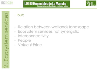 2. Ecosystem services

…but:

-

Relation between wetlands landscape
Ecosystem services not synergistic
Interconnectivity
People
Value ≠ Price

 