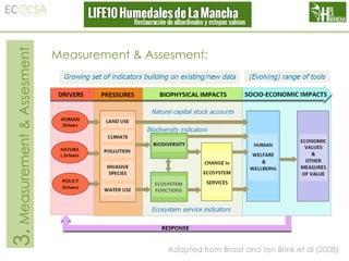 3. Measurement & Assesment

Measurement & Assesment:

Adapted from Braat and ten Brink et al (2008)

 
