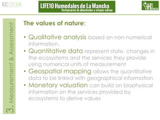 3. Measurement & Assessment

The values of nature:
• Qualitative analysis based on non-numerical
information.

• Quantitative data represent state, changes in
the ecosystems and the services they provide
using numerical units of measurement
• Geospatial mapping allows the quantitative
data to be linked with geographical information
• Monetary valuation can build on biophysical
information on the services provided by
ecosystems to derive values

 