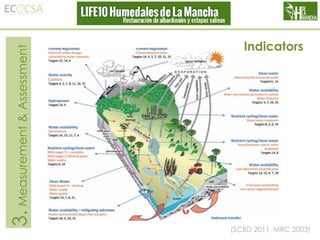 3. Measurement & Assessment

Indicators

(SCBD 2011, MRC 2003)

 