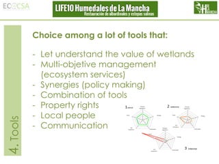 4. Tools

Choice among a lot of tools that:
- Let understand the value of wetlands
- Multi-objetive management
(ecosystem services)
- Synergies (policy making)
- Combination of tools
- Property rights
- Local people
- Communication

 