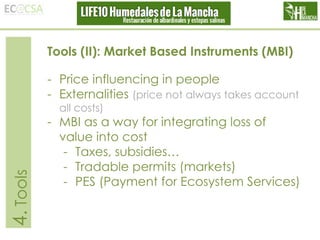 Tools (II): Market Based Instruments (MBI)
- Price influencing in people
- Externalities (price not always takes account

4. Tools

all costs)

- MBI as a way for integrating loss of
value into cost
- Taxes, subsidies…
- Tradable permits (markets)
- PES (Payment for Ecosystem Services)

 
