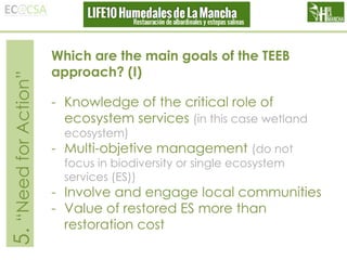 5. “Need for Action”

Which are the main goals of the TEEB
approach? (I)
- Knowledge of the critical role of
ecosystem services (in this case wetland
ecosystem)

- Multi-objetive management (do not
focus in biodiversity or single ecosystem
services (ES))

- Involve and engage local communities
- Value of restored ES more than
restoration cost

 