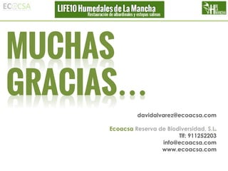 davidalvarez@ecoacsa.com
Ecoacsa Reserva de Biodiversidad, S.L.
Tlf: 911252203
info@ecoacsa.com
www.ecoacsa.com

 