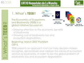 1. What´s TEEB?

1. What´s TEEB?
The Economics of Ecosystems
and Biodiversity (TEEB) is a
global initiative focused on:
• Drawing attention to the economic benefits
of biodiversity
• Growing cost of biodiversity loss and
ecosystem degradation.
Beginning: March 2007 Postdam
G8+5.
TEEB presents an approach that can help decision-makers
recognize, demonstrate and capture the values of ecosystem
services & biodiversity. In order to size the global problem of
biodiversity loss and ecosystem degradation

 