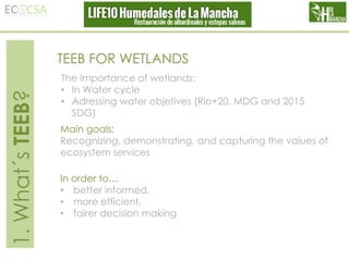 1. What´s TEEB?

TEEB FOR WETLANDS
The importance of wetlands:
• In Water cycle
• Adressing water objetives (Rio+20, MDG and 2015
SDG)
Main goals:
Recognizing, demonstrating, and capturing the values of
ecosystem services
In order to…
• better informed,
• more efficient,
• fairer decision making

 