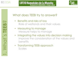 1. What´s TEEB?

What does TEEB try to answer?
• Benefits and risks of loss
Role of wetlands and their values
• Measuring to manage
Measure helps to manage
• Integrating the values into decision making
improve the consideration of the values and
benefits
• Transforming TEEB approach
Scales

 