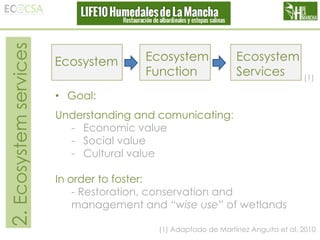 2. Ecosystem services

Ecosystem

Ecosystem
Function

Ecosystem
Services

(1)

• Goal:
Understanding and comunicating:
- Economic value
- Social value
- Cultural value
In order to foster:
- Restoration, conservation and
management and “wise use” of wetlands
(1) Adaptado de Martínez Anguita et al. 2010

 