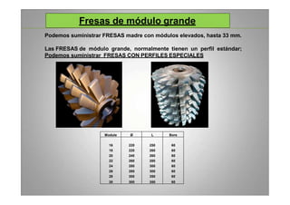 Fresas de módulo grande
Podemos suministrar FRESAS madre con módulos elevados, hasta 33 mm.
Las FRESAS de módulo grande, n...