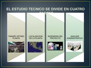 EL ESTUDIO TECNICO SE DIVIDE EN CUATRO
PARTES:
TAMAÑO OPTIMO
PLANTA
LOCALIZACION
DE LA PLANTA
INGENIERIA DEL
PROYECTO
ANALISIS
ADMINISTRATIVO
 