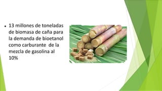  13 millones de toneladas
de biomasa de caña para
la demanda de bioetanol
como carburante de la
mezcla de gasolina al
10%
 