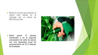  Brasil es el país que produce el
etanol mas barato en el
mercado con un precio de
R$1,919 por litro
 Brasil posee 12 plantas
industriales y es la segunda
procesadora de caña de azúcar
con una capacidad anual de
procesamiento de 37.9 millones
de toneladas
 