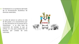  El bioetanol es un producto derivado
de la fermentación alcohólica de
diversos materiales.
 La caña de azúcar se cultiva en más
de 80 países y es característica por
su alta eficiencia en el proceso de la
fotosíntesis y su alta taza de
conversión de energía lo que se
refleja en una gran producción de
biomasa por unidad de área
cultivada.
 