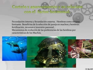 Fecundación interna y fecundación externa. Hembras como recurso
limitante. Beneficios de la selección de pareja en machos y hembras:
fertilización, recursos e inversión parental.
Mecanismos de evolución de las preferencias de las hembras por
características de los Machos.
 