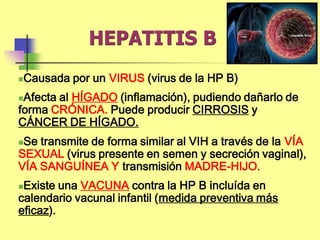 HEPATITIS B
Causada por un VIRUS (virus de la HP B)
Afecta al HÍGADO (inflamación), pudiendo dañarlo de
forma CRÓNICA. Puede producir CIRROSIS y
CÁNCER DE HÍGADO.
Se transmite de forma similar al VIH a través de la VÍA
SEXUAL (virus presente en semen y secreción vaginal),
VÍA SANGUÍNEA Y transmisión MADRE-HIJO.
Existe una VACUNA contra la HP B incluída en
calendario vacunal infantil (medida preventiva más
eficaz).
 