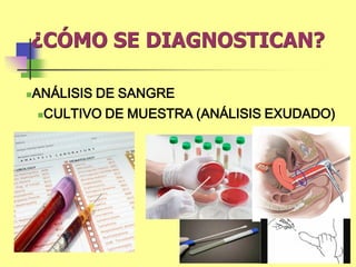 ¿CÓMO SE DIAGNOSTICAN?
ANÁLISIS DE SANGRE
CULTIVO DE MUESTRA (ANÁLISIS EXUDADO)
 