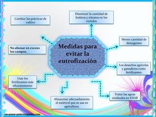 Disminuir la cantidad de
   Cambiar las prácticas de                  fosfatos y nitratos en los
          cultivo                                     vertidos




                                                                                Menor cantidad de
                                                                                  detergentes
No abonar en exceso              Medidas para
los campos,
                                   evitar la
                                 eutrofización
                                                                              Los desechos agrícolas
                                                                                y ganaderos como
                                                                                   fertilizantes

      Usar los
 fertilizantes más
  eficientemente

                                                                            Tratar las aguas
                              Almacenar adecuadamente                     residuales en EDAR
                               el estiércol que se usa en
                                       agricultura.
 