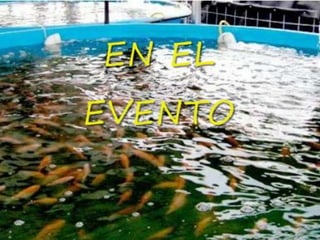 Congreso Internacional Produccion Acuicola Sustentable