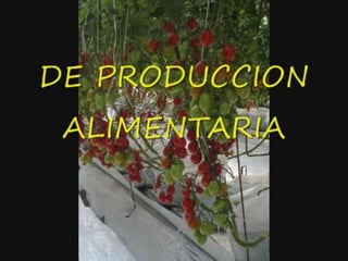Congreso Internacional Produccion Acuicola Sustentable