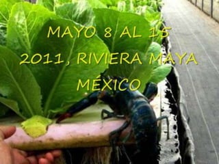 Congreso Internacional Produccion Acuicola Sustentable