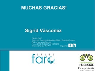 Contraportada
MUCHAS GRACIAS!



 Sigrid Vásconez
   GRUPO FARO
   Dirección: Gregorio Bobadilla N38-88 y Granda Centeno
   Web: www.grupofaro.org
   Fono: (593 2) 2 456 367 / 2 6 015 395
   Telefax: (593 2) 2 264 719            !Síguenos!




                                                           Es importante
 