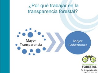  ¿Por qué trabajar en la 
 transparencia forestal?




                            Es importante
 