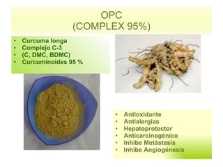 OPC (COMPLEX 95%) Antioxidante Antialergias Hepatoprotector Anticarcinogénico Inhibe Metástasis Inhibe Angiogénesis Curcuma longa Complejo C-3  (C, DMC, BDMC) Curcuminoides 95 % 