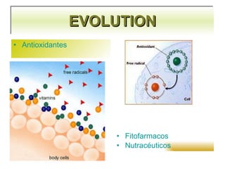 EVOLUTION Antioxidantes Fitofarmacos Nutracéuticos 