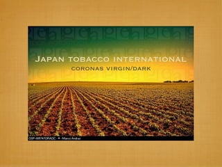Japan tobacco international
      coronas virgin/dark
 