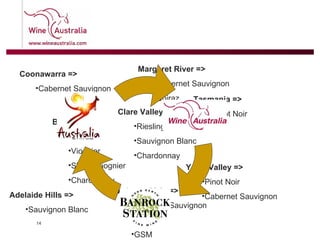 Coonawarra =>   Cabernet Sauvignon Barossa =>   Shiraz Viognier Shiraz-Viognier Chardonnay Adelaide Hills =>   Sauvignon Blanc McLaren Vale =>   Cabernet Sauvignon Shiraz GSM Clare Valley =>   Riesling Sauvignon Blanc Chardonnay Margaret River =>   Cabernet Sauvignon Shiraz Yarra Valley =>   Pinot Noir Cabernet Sauvignon Tasmania =>   Pinot Noir 