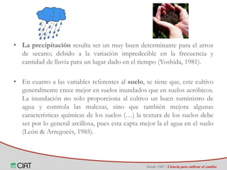 Identificación de áreas geográficas con potencial para la producción de arroz en Colombia ante escenarios de cambio climático