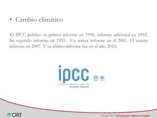 Identificación de áreas geográficas con potencial para la producción de arroz en Colombia ante escenarios de cambio climático