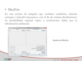 Identificación de áreas geográficas con potencial para la producción de arroz en Colombia ante escenarios de cambio climático