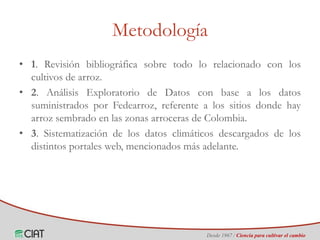 Identificación de áreas geográficas con potencial para la producción de arroz en Colombia ante escenarios de cambio climático