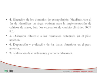 Identificación de áreas geográficas con potencial para la producción de arroz en Colombia ante escenarios de cambio climático