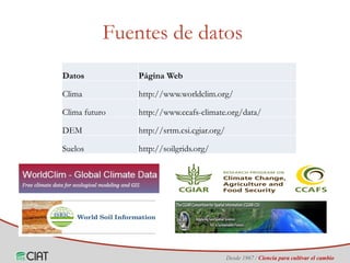 Identificación de áreas geográficas con potencial para la producción de arroz en Colombia ante escenarios de cambio climático