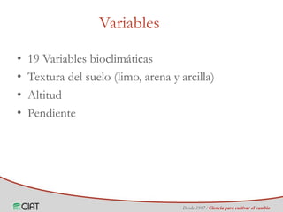 Identificación de áreas geográficas con potencial para la producción de arroz en Colombia ante escenarios de cambio climático