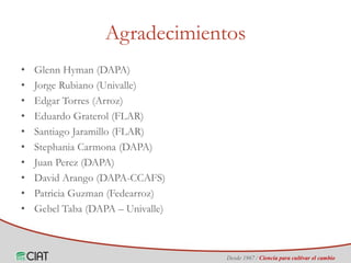 Identificación de áreas geográficas con potencial para la producción de arroz en Colombia ante escenarios de cambio climático