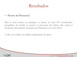 Identificación de áreas geográficas con potencial para la producción de arroz en Colombia ante escenarios de cambio climático
