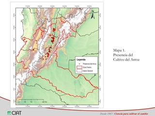 Identificación de áreas geográficas con potencial para la producción de arroz en Colombia ante escenarios de cambio climático