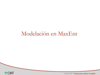 Identificación de áreas geográficas con potencial para la producción de arroz en Colombia ante escenarios de cambio climático