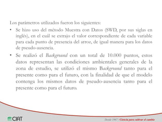 Identificación de áreas geográficas con potencial para la producción de arroz en Colombia ante escenarios de cambio climático