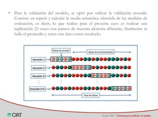Identificación de áreas geográficas con potencial para la producción de arroz en Colombia ante escenarios de cambio climático