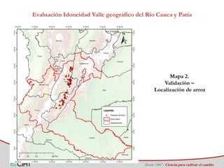Identificación de áreas geográficas con potencial para la producción de arroz en Colombia ante escenarios de cambio climático