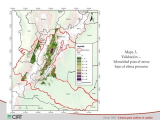 Identificación de áreas geográficas con potencial para la producción de arroz en Colombia ante escenarios de cambio climático