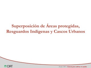 Identificación de áreas geográficas con potencial para la producción de arroz en Colombia ante escenarios de cambio climático