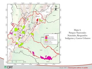 Identificación de áreas geográficas con potencial para la producción de arroz en Colombia ante escenarios de cambio climático